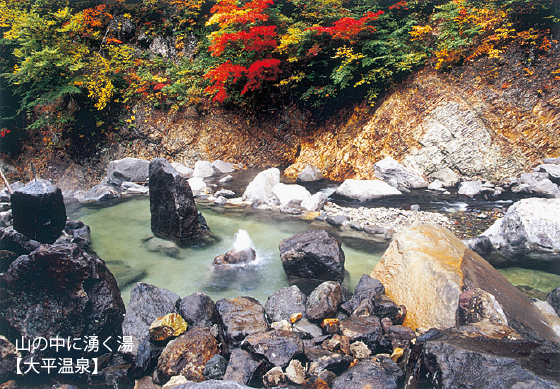 山の中に湧く湯